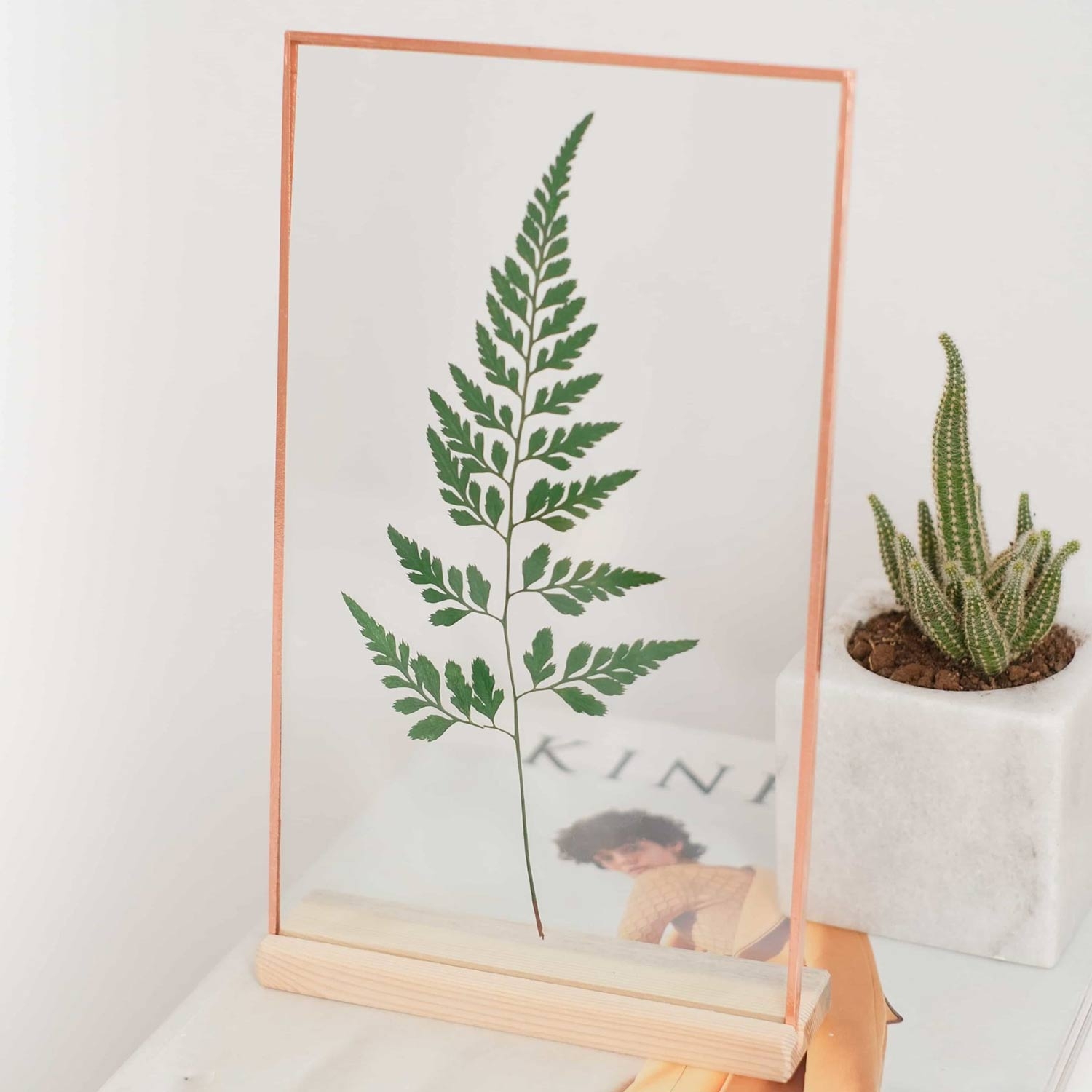 Copper Frame Carrot Fern