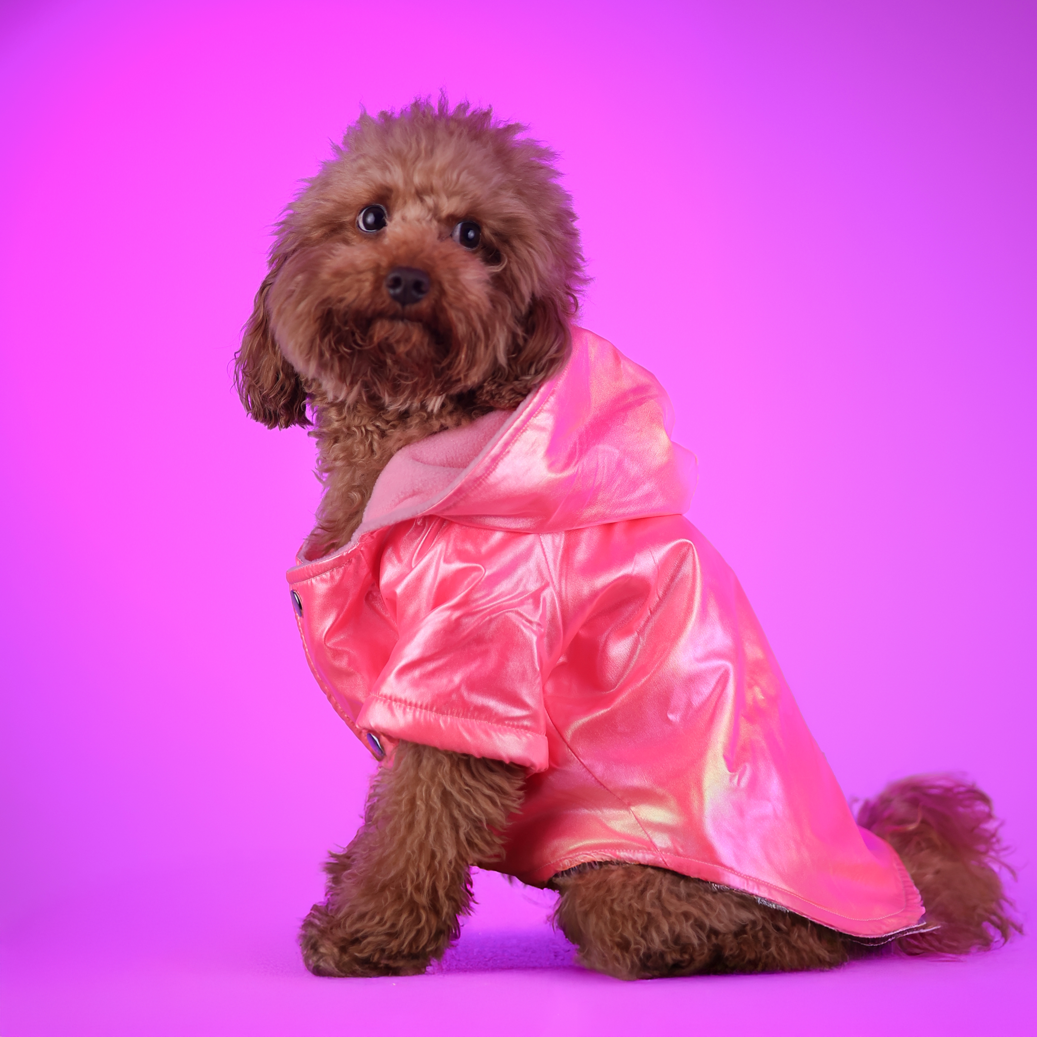 Neon Pink Dog Jacket