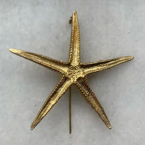 Starfish Pin