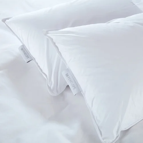 Feather Proof 2-piece Pillow Mattress - Nomite