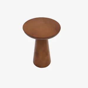 Mushroom Walnut 3