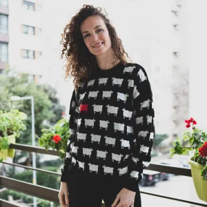 Diana Sweater - Red Sheep