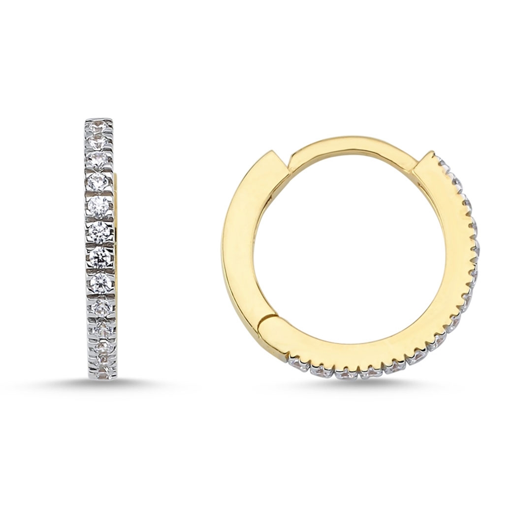 Small Hoop Earrings
