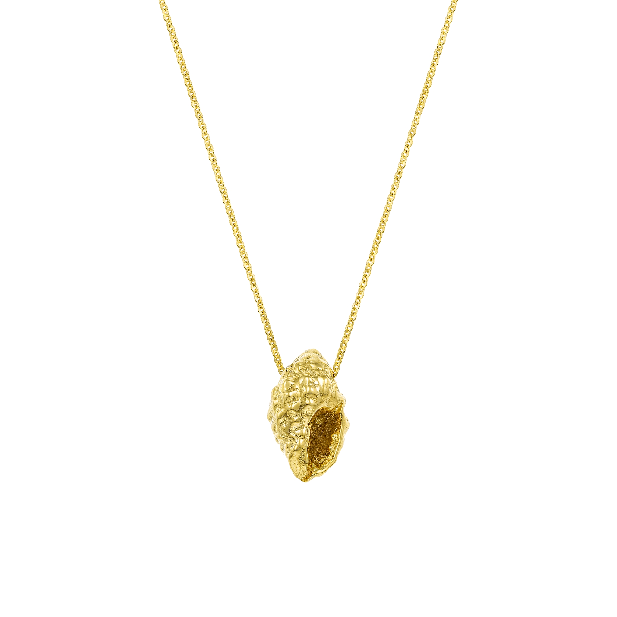 Shell Conch Necklace
