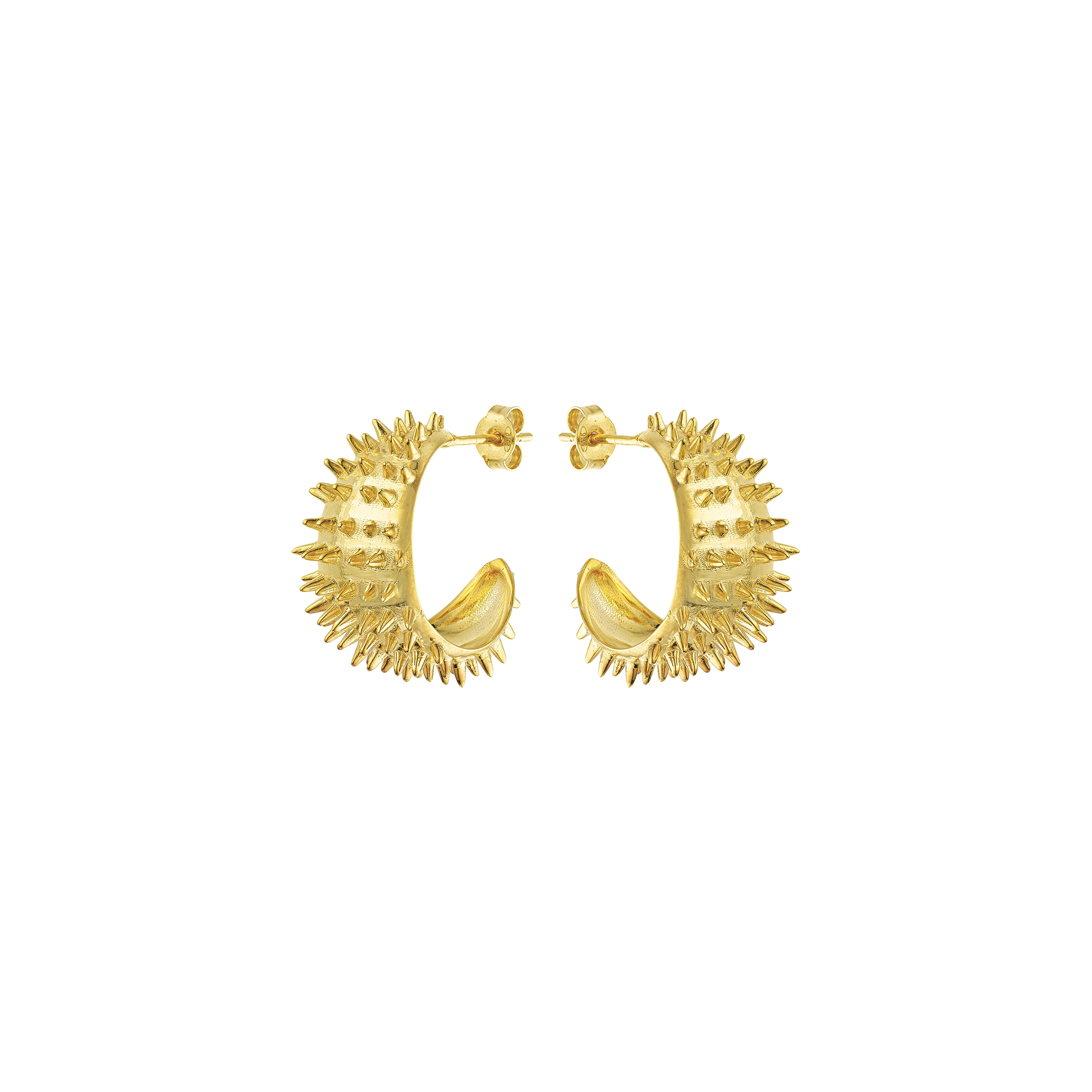 Ahinos Spike Earrings