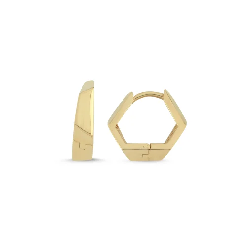 Iconic Prism Earring