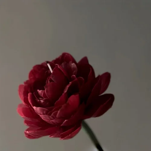 Red Peony Candle