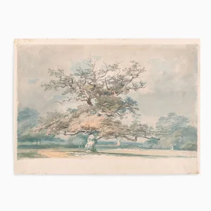 Oak Tree Fine Art Print