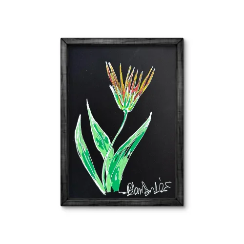 Flora - Black Edition 50 Çizim