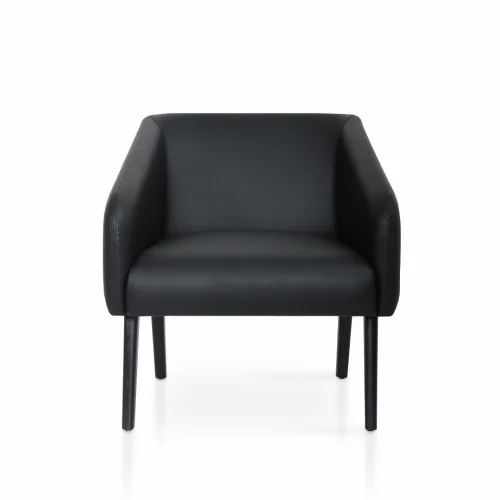 Era Lounge Chair