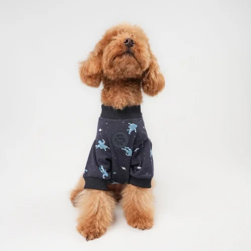 Lote Astro Sweatshirt