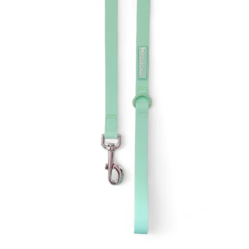 Lolidogs Dream Collection | Dog Leash Viola