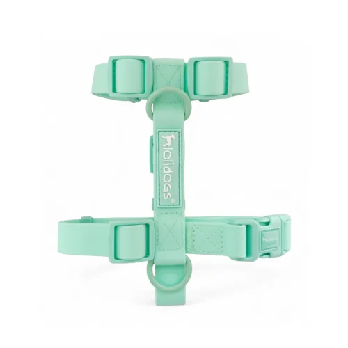 Lolidogs Dream Collection | Dog Harness Minty