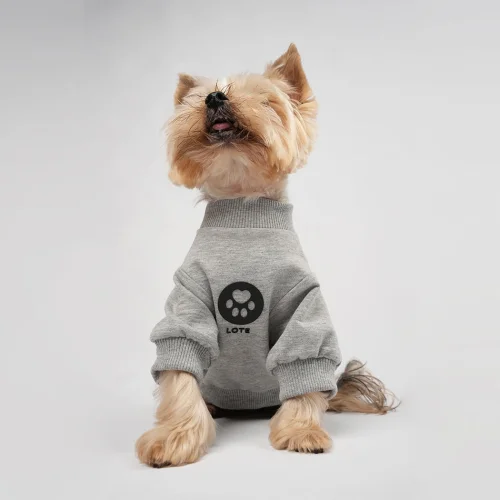 Köpek Sweatshirt
