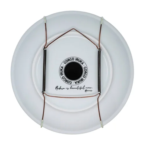 Wall Plate Hanger