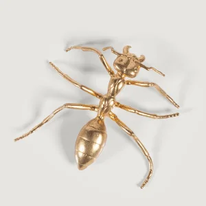 Ant Decorative Object