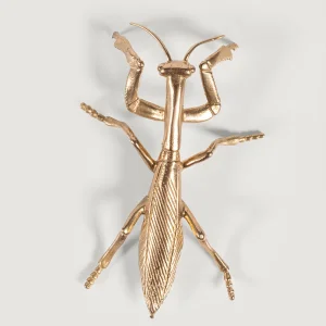 variant