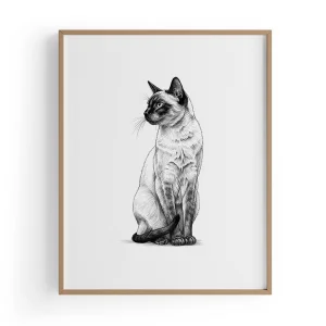 Pencil Drawing Collection Cat Poster
