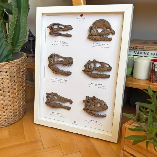 Etobur Dinozorlar 3 Boyutlu Çerçeve Tasarım