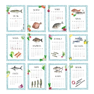 2026 Desk Calendar | Fish Guide