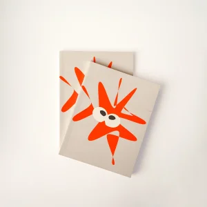 Paperb Branding Guide (turkish)