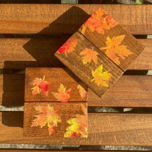 Autumn Themed Coasters Set Of 2