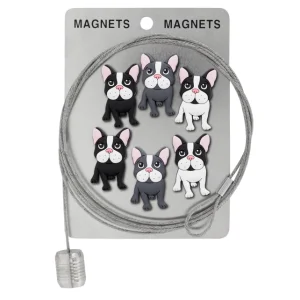 Pylones Fotoğraf Askı Kablosu Ve Mıknatıslar - Magnetic Cable Buldog