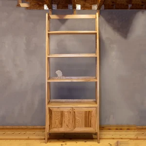 Ladder Bookcase