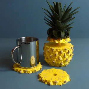 Pineapple Coasters