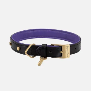 Dog Collar Steel