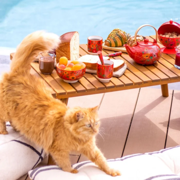 Pylones Teapot Japanese Style | Matinal Tea - Coq image 4