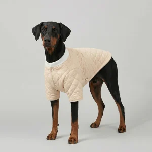 Soft Puffy Kapitone Köpek Ceketi