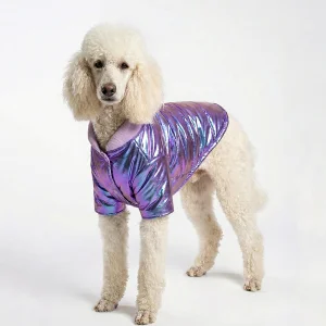 Shiny Dog Coat