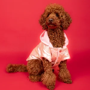 Goodboi Candy Pink Neon Dog Jacket