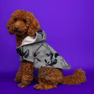Goodboi Camouflage Dog Coat