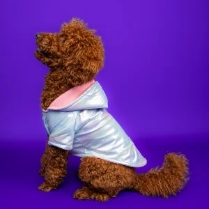 Goodboi Neon Blue Dog Coat