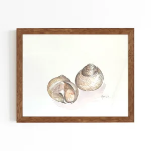 Original Watercolor Artwork In A Wooden Frame