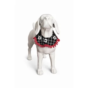 Valentines Day Neck (path )