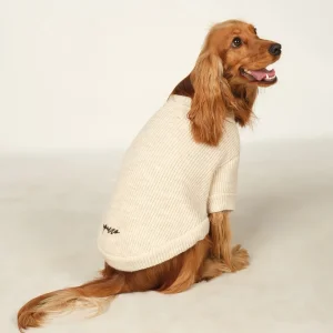 Basic Ecru Knitted Dog Sweater