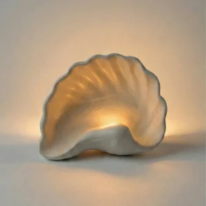 Venus Oyster Wall Lamp - Mini