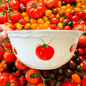 Pomodoro Stoneware Salad Bowl 25 Cm
