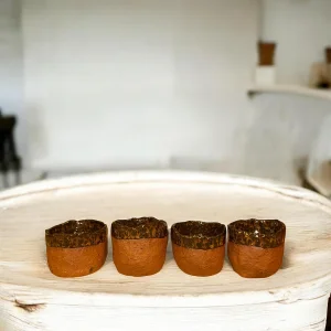 Stoneware Mini Cup Set