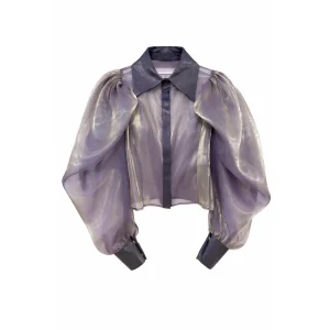 Avant-garde Balloon Sleeve Transparent Silk Organza Shirt