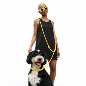 8mm Paracord Hands-free Dog Leash / 1100 Kg Durable Hands-free Walking