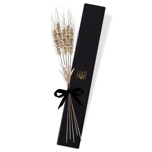 Başak Dalı 3\'lü