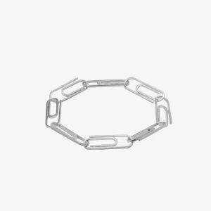 03.09 Paperclip Chain