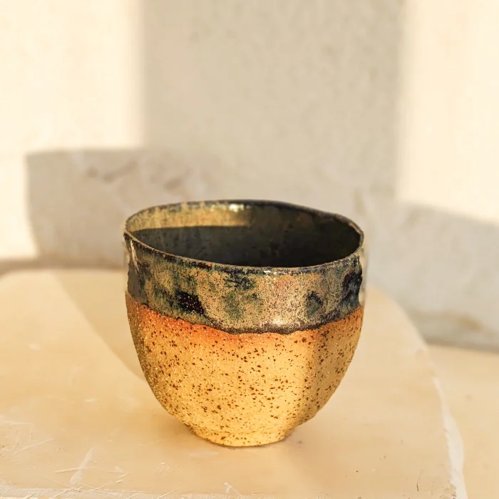 Earth Cup image 3
