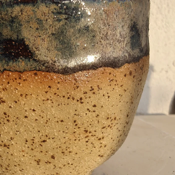 Earth Cup image 2