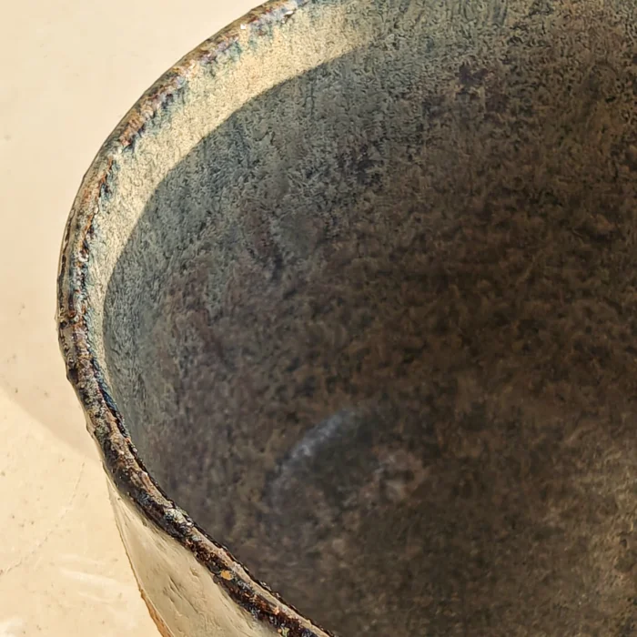 Earth Cup image 4