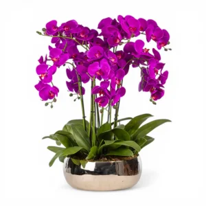 Metal Pot Real Touch Fuchsia Orchid Arrangement